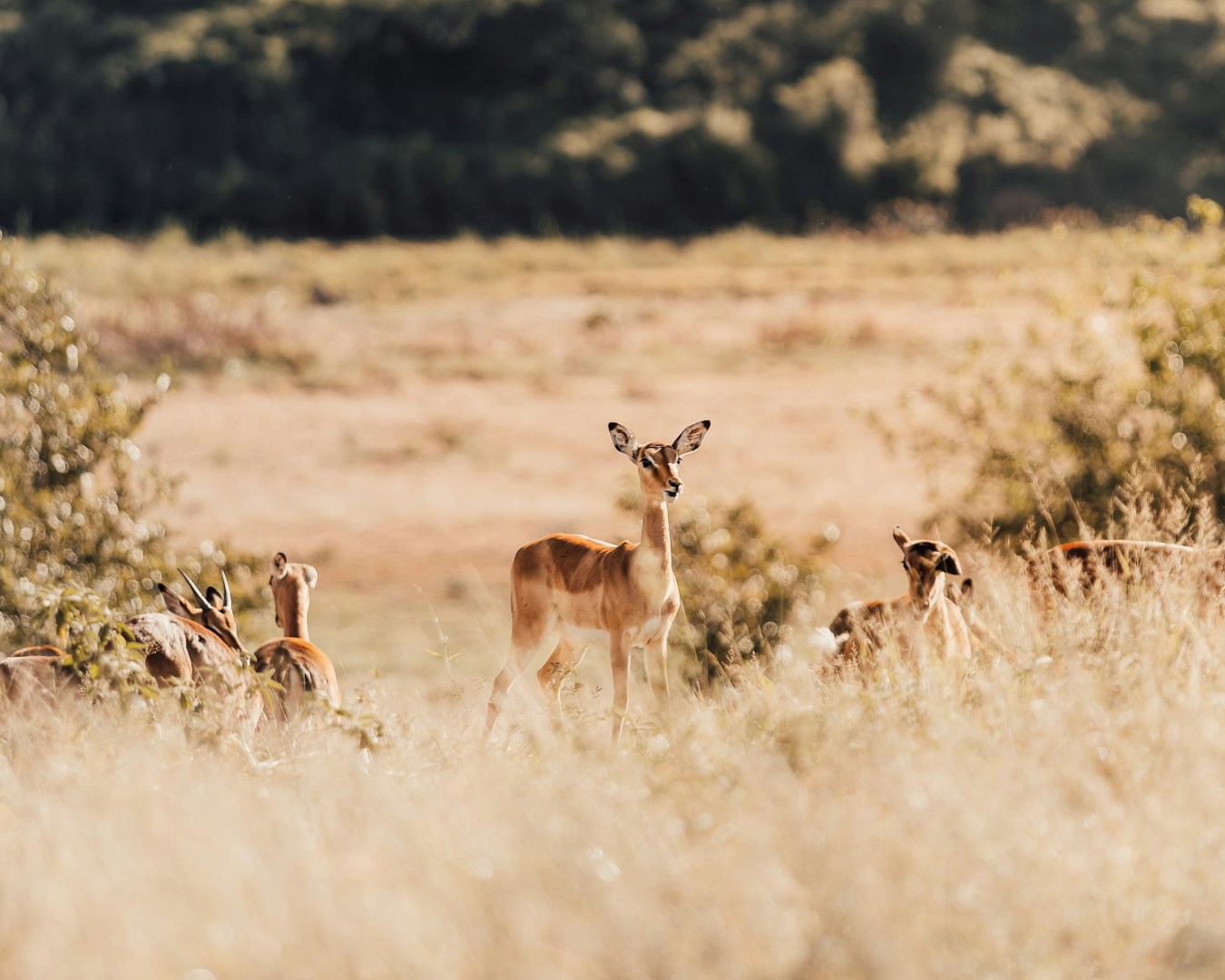  Photo Credit: Photo by Pierre Lemos on Unsplash