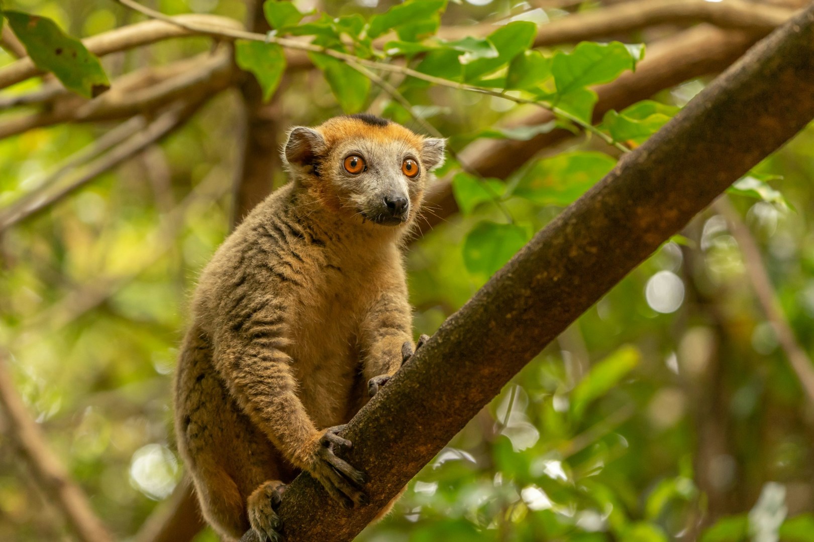  Photo Credit: Photo by Hans-Jurgen Mager on Unsplash