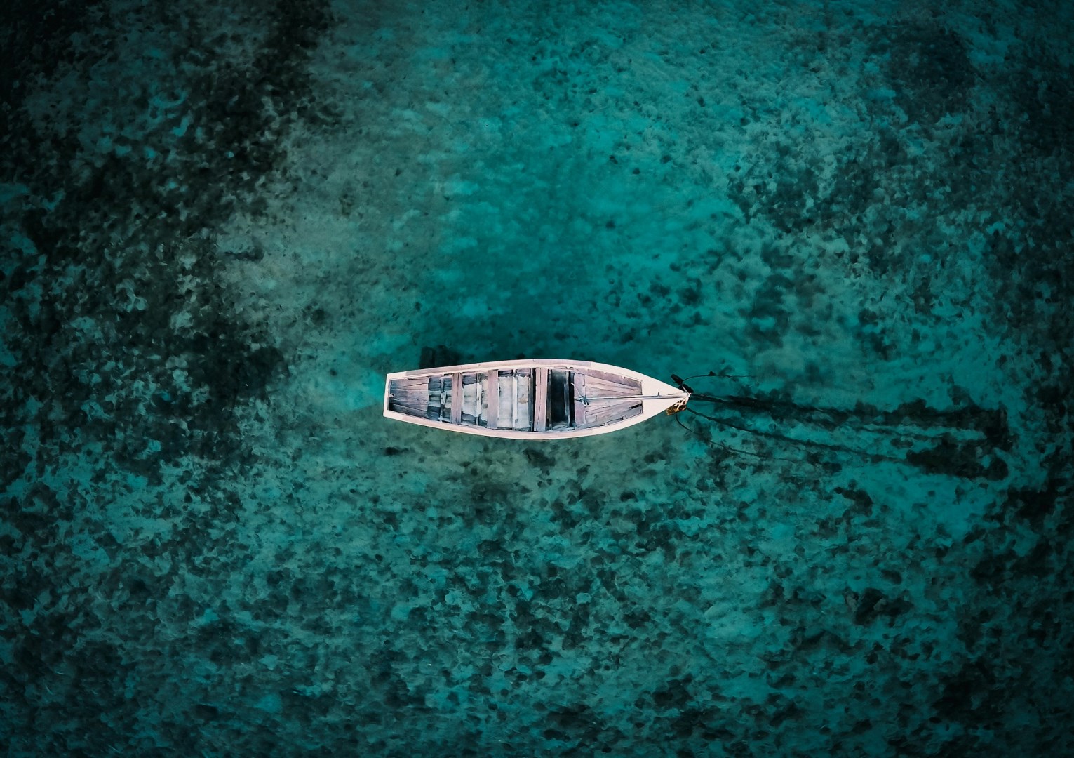  Photo Credit: Photo by Xavier Coiffic on Unsplash