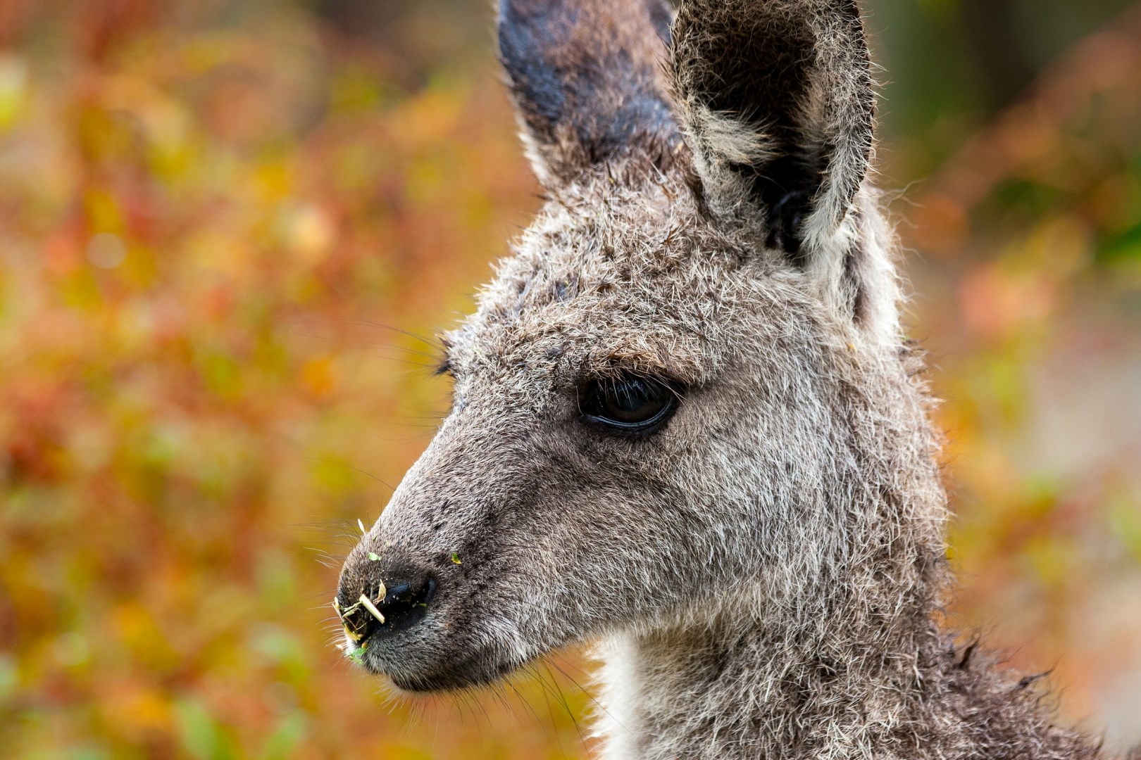  Photo Credit: Photo by Daniel Nielsen on Unsplash