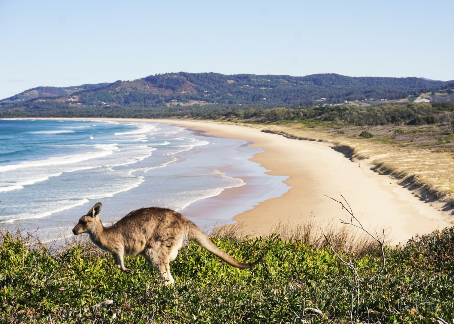 Emerald Beach - Photo Credit: Photo by Kristin Hoel on Unsplash