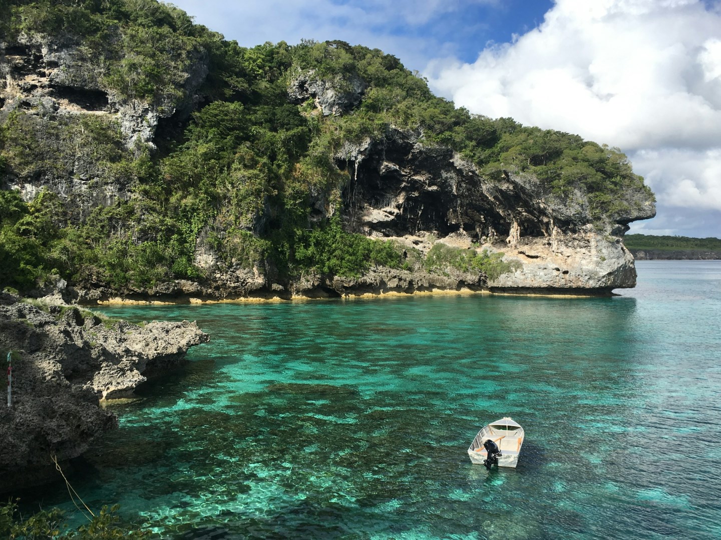  Photo Credit: Photo by Joeri Mombers on Unsplash