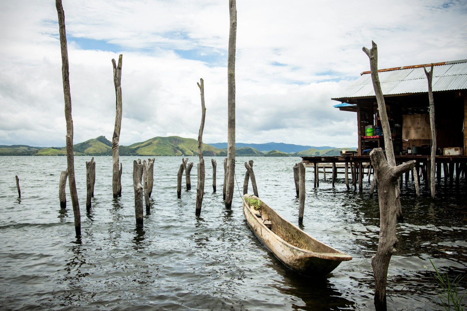  Photo Credit: Photo by Asso Myron on Unsplash