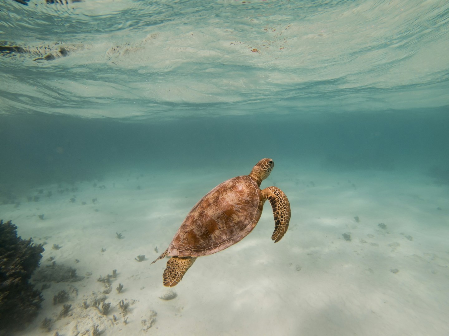  Photo Credit: Photo by Mariano Carpentier on Unsplash