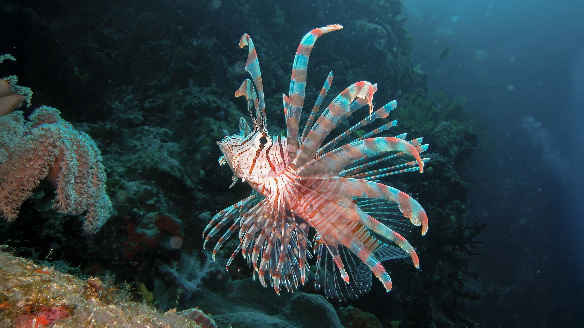  Photo Credit: Image by Jack Drafahl from Pixabay