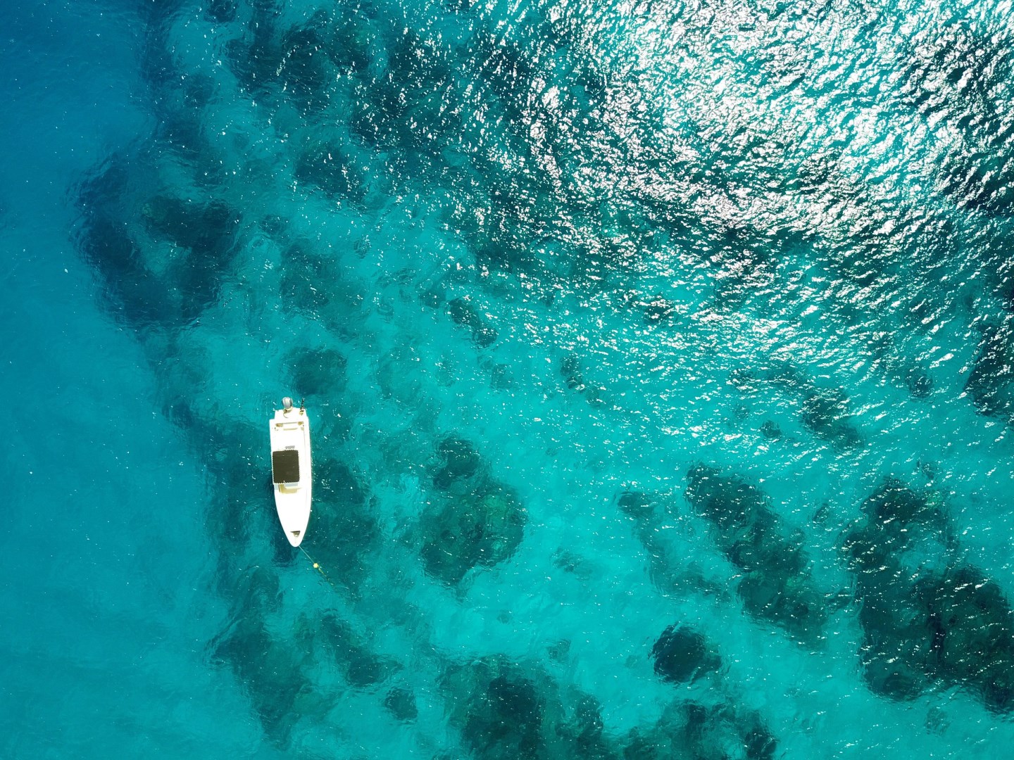  Photo Credit: Photo by Max on Unsplash