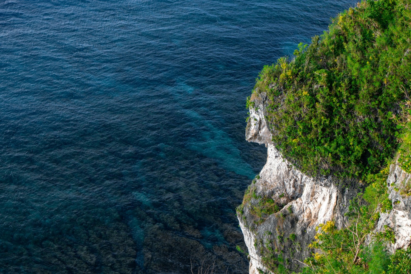  Photo Credit: Photo by yeojin yun on Unsplash