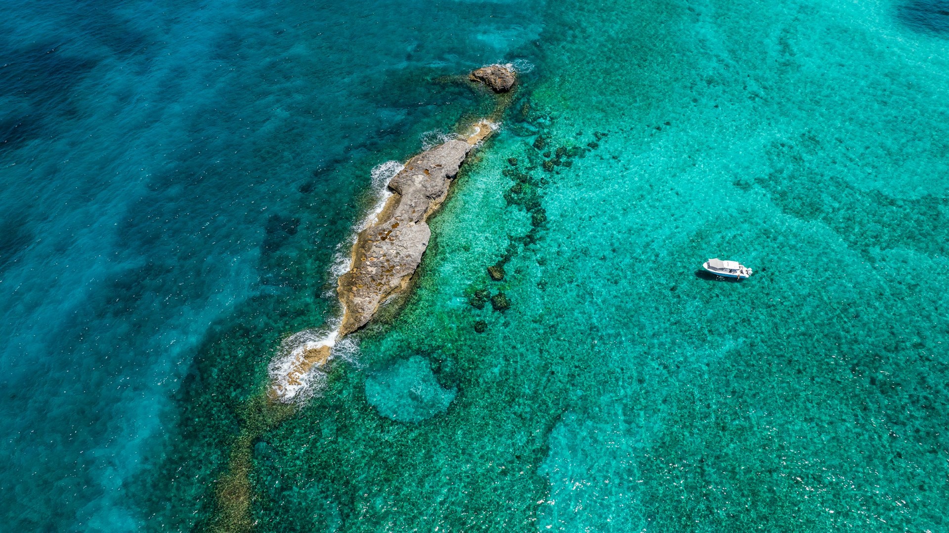  Photo Credit: Photo by Ricky Beron on Unsplash