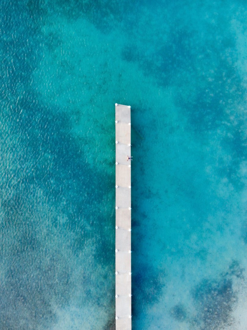 Photo Credit: Photo by Spenser Sembrat on Unsplash