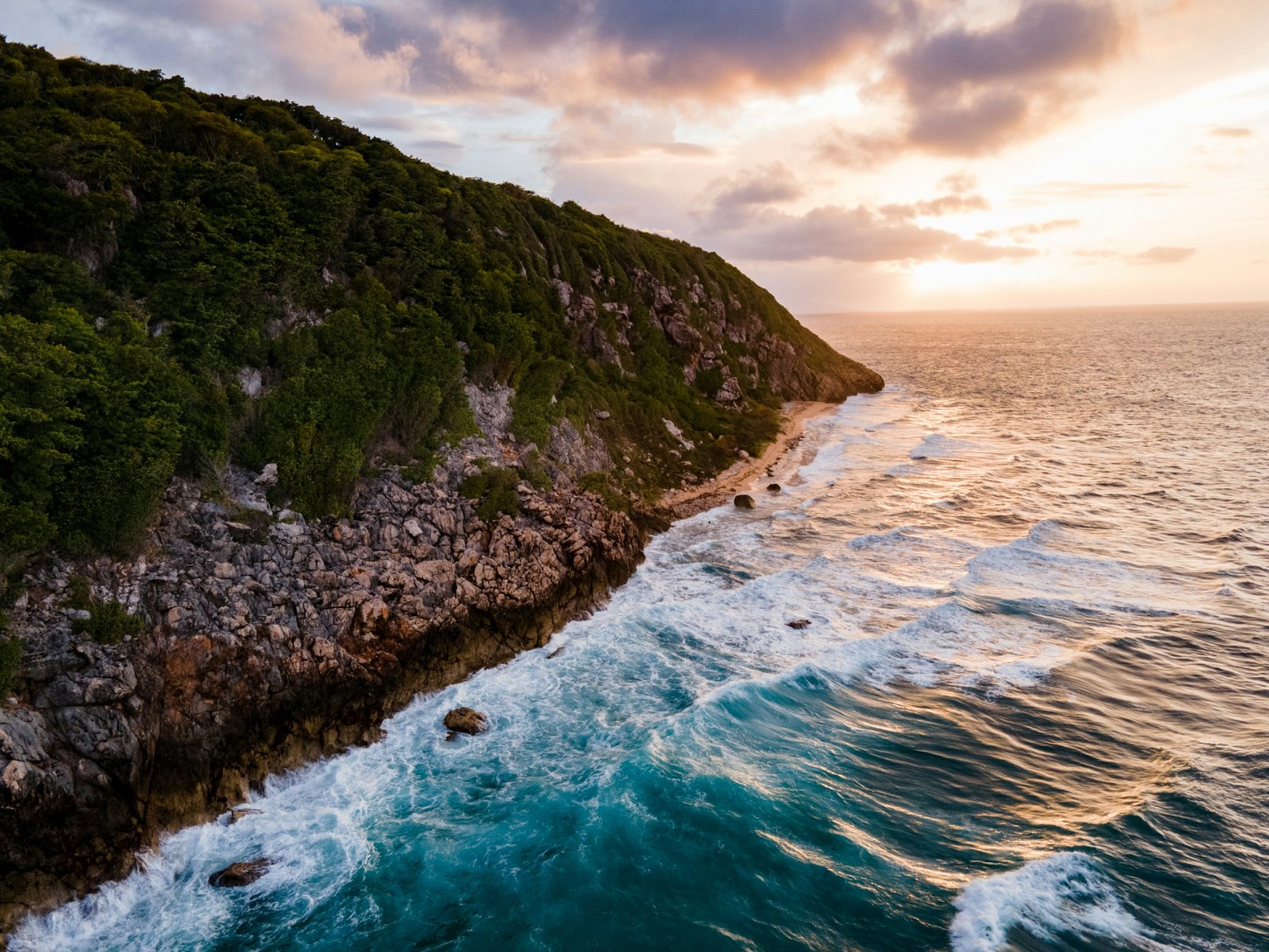  Photo Credit: Photo by Aaron Burden on Unsplash