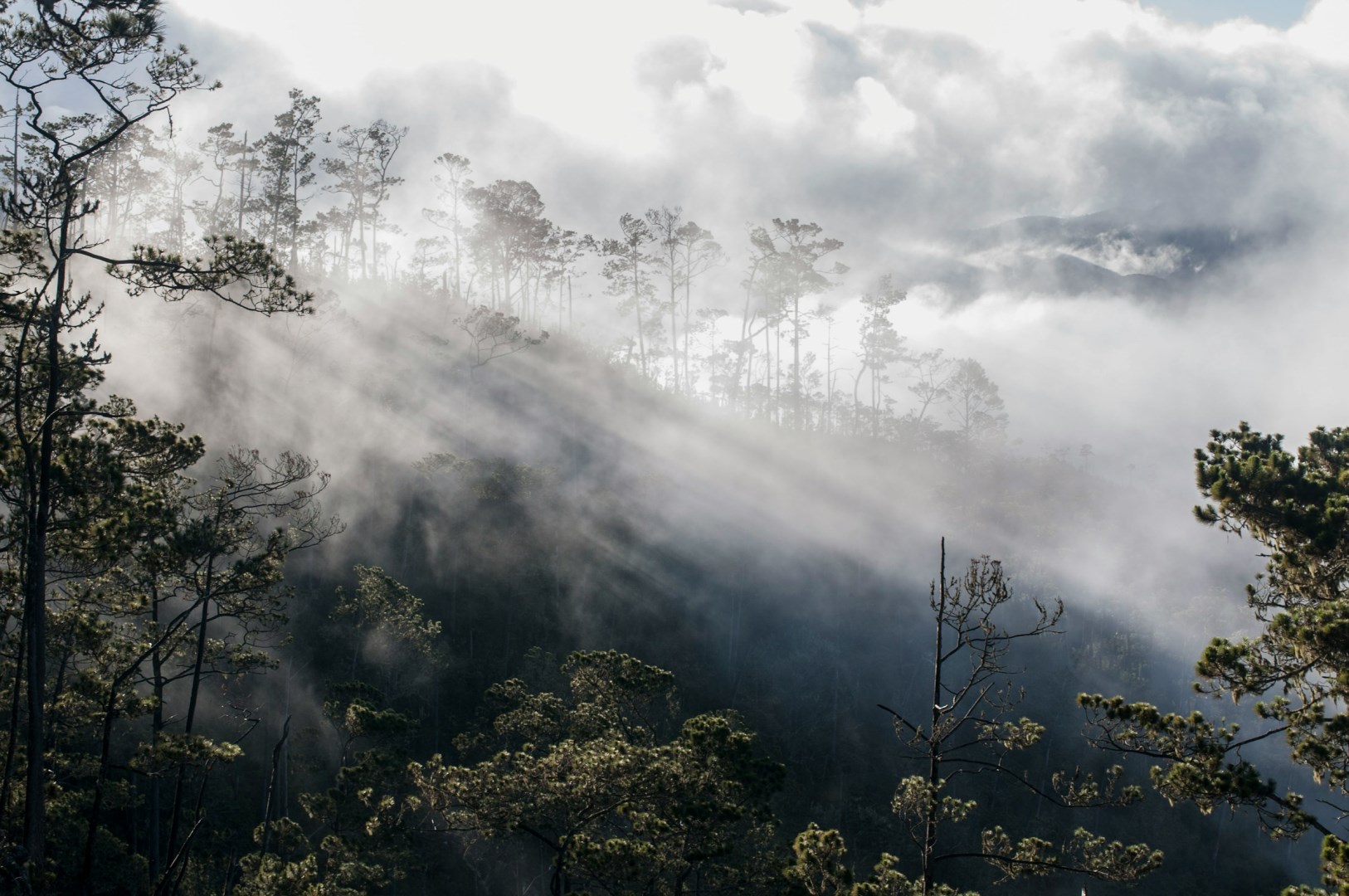 Pico Duarte - Photo Credit: Photo by Juan Fernández on Unsplash