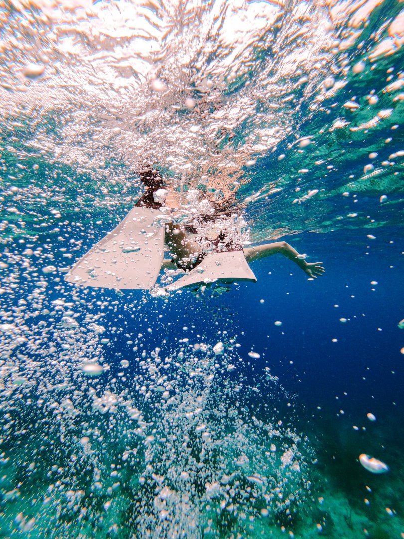  Photo Credit: Photo by Hans on Unsplash