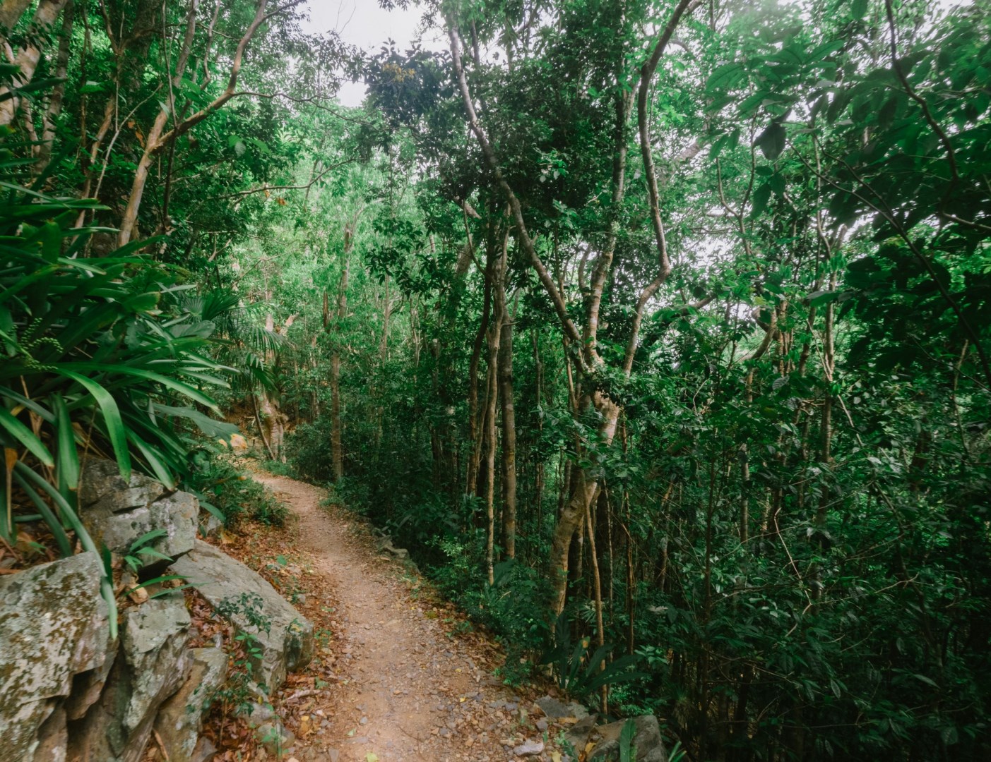  Photo Credit: Photo by Cyrus Crossan on Unsplash