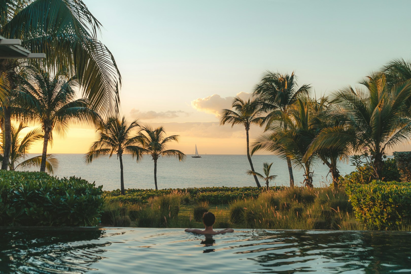  Photo Credit: Photo by Cory Bjork on Unsplash