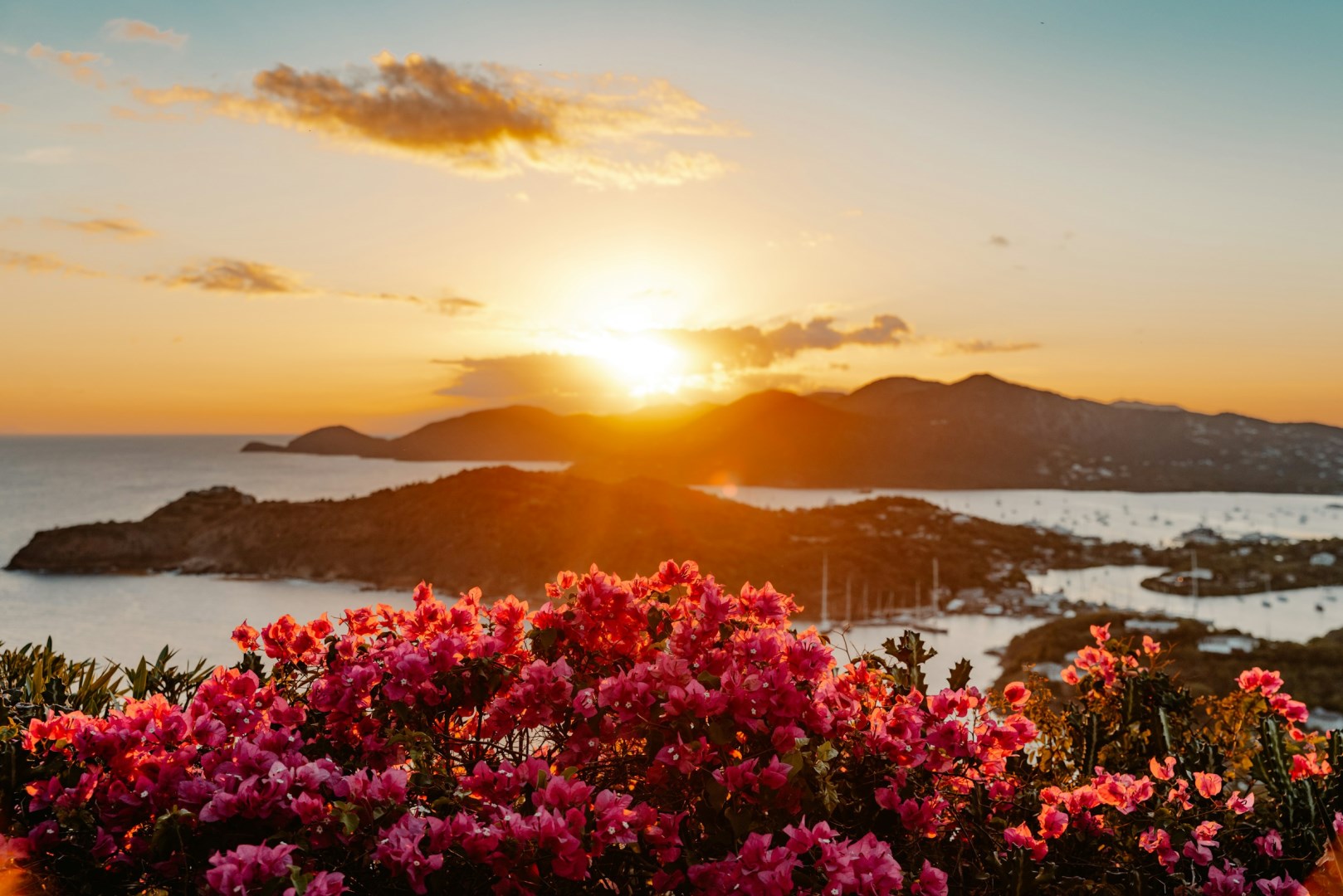  Photo Credit: Photo by Royce Fonseca on Unsplash