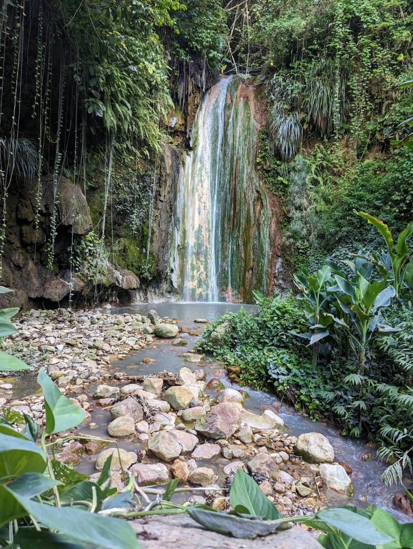 Diamond Botanical Gardens - Photo Credit: Photo by THARUN GOWDA on Unsplash