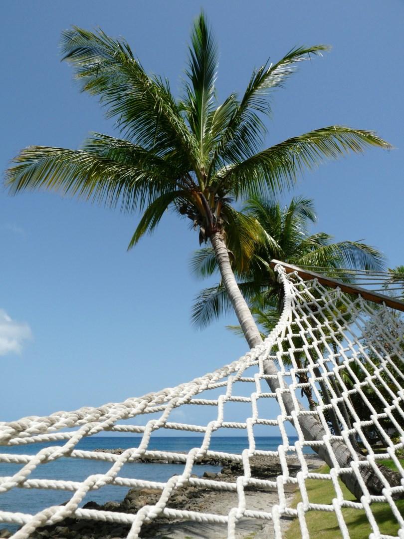  Photo Credit: Photo by Susan Wilkinson on Unsplash