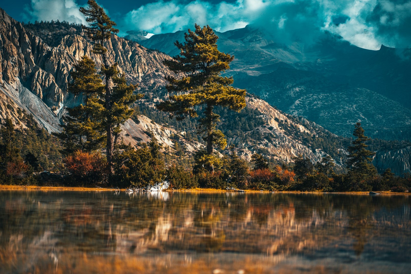  Photo Credit: Photo by Raimond Klavins on Unsplash