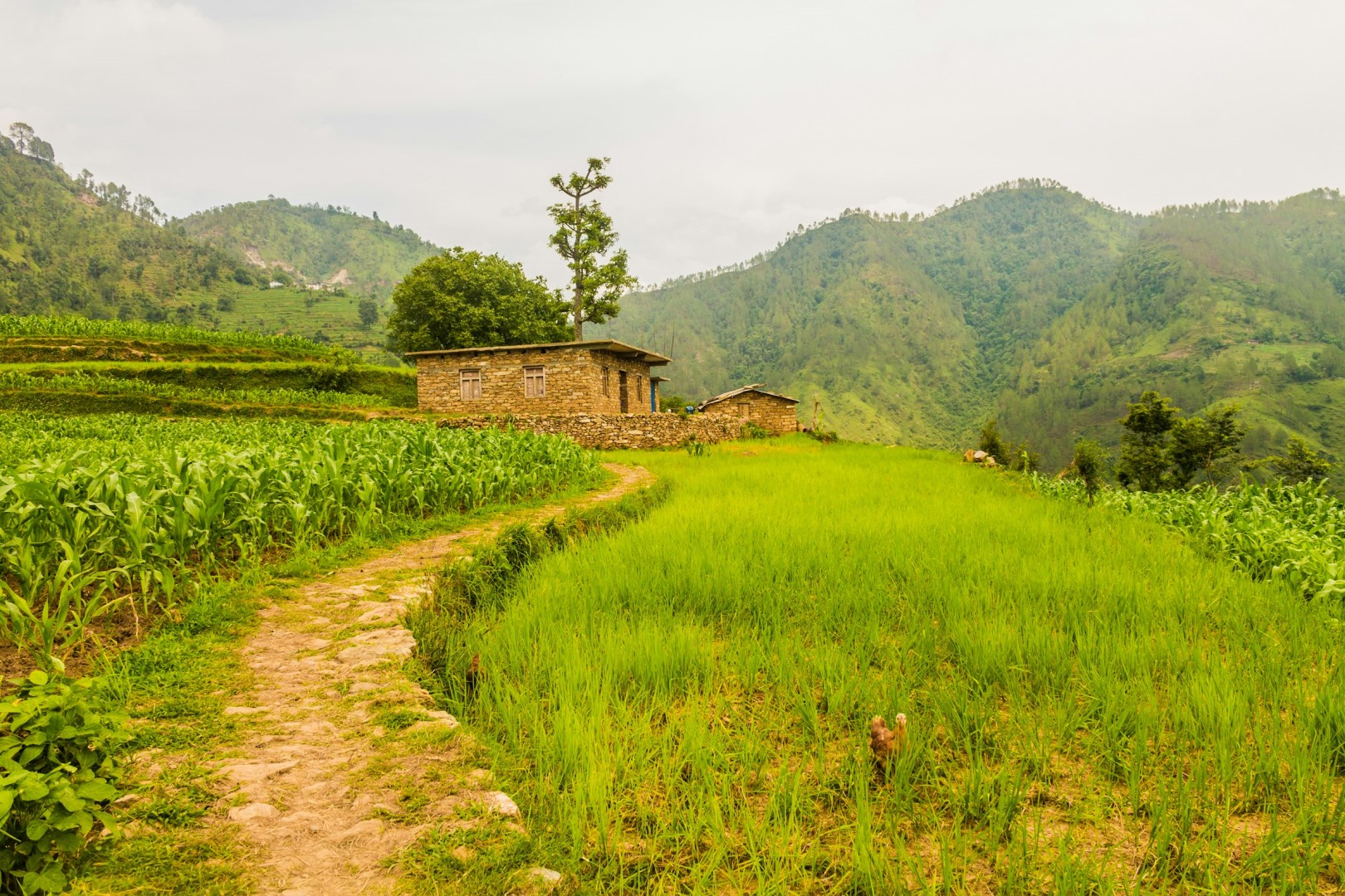 Darchula Village - Photo Credit: Photo by Sushanta Rokka on Unsplash