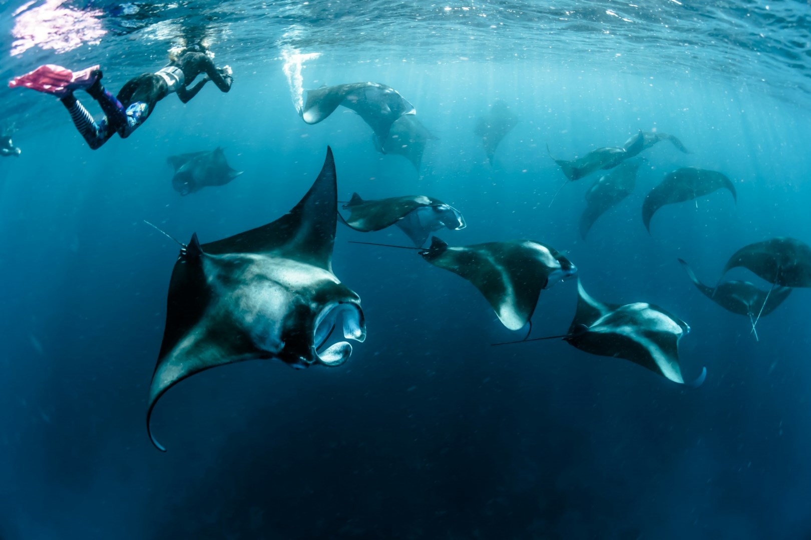  Photo Credit: Photo by Sebastian Pena Lambarri on Unspla