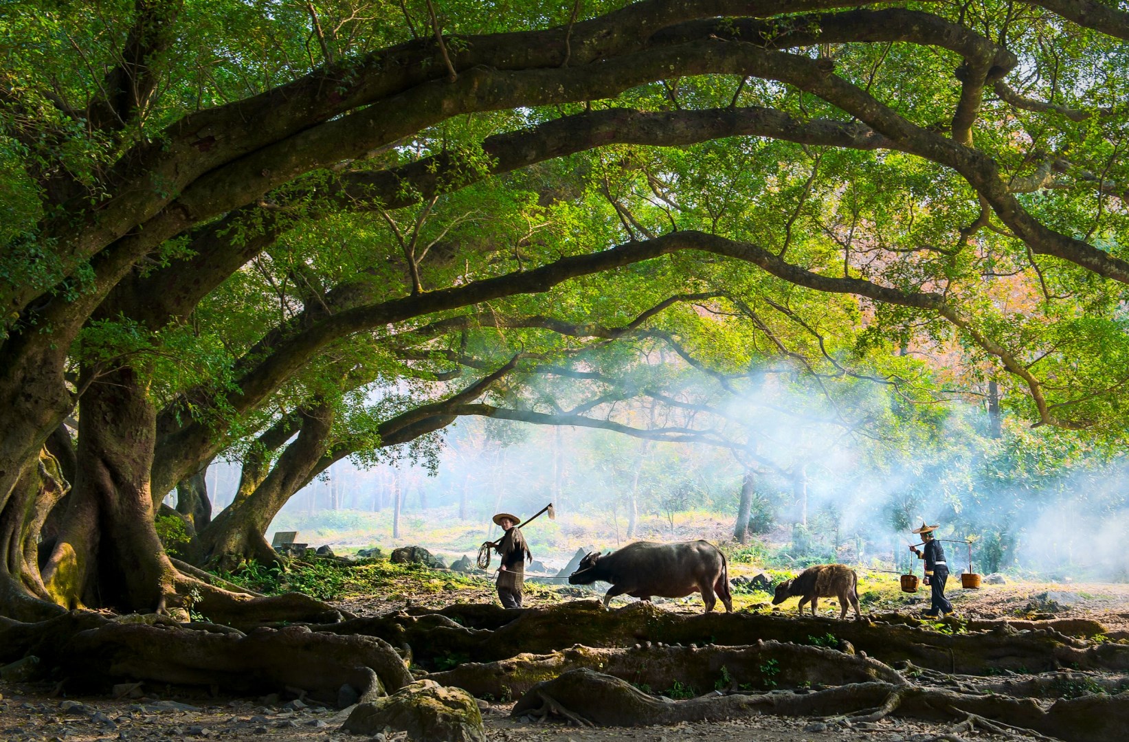  Photo Credit: Photo by ZHENGFAN YANG on Unsplash