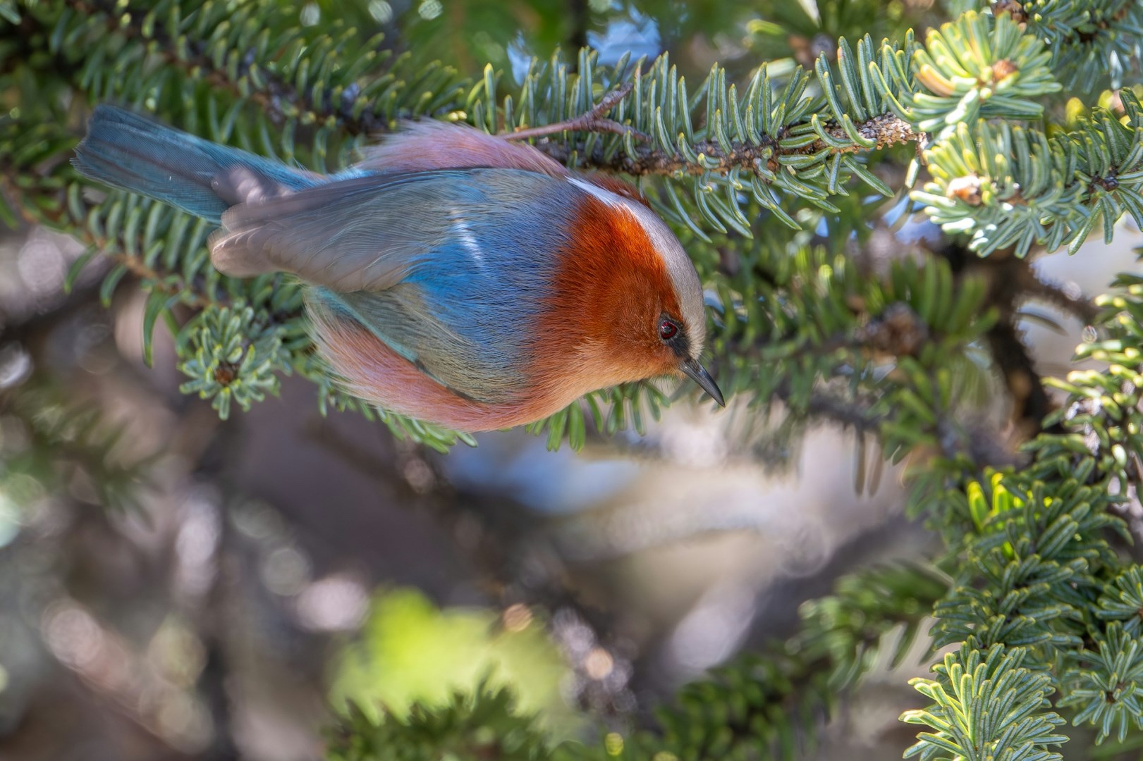  Photo Credit: Photo by Joshua Bergmark on Unsplash