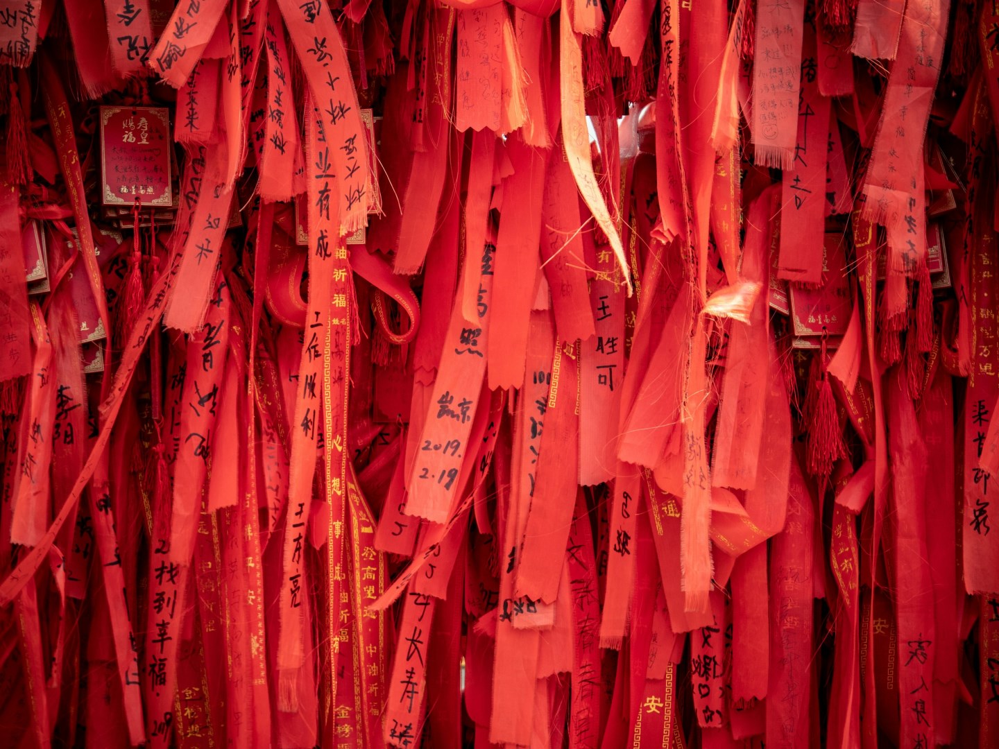  Photo Credit: Photo by Jamie Street on Unsplash