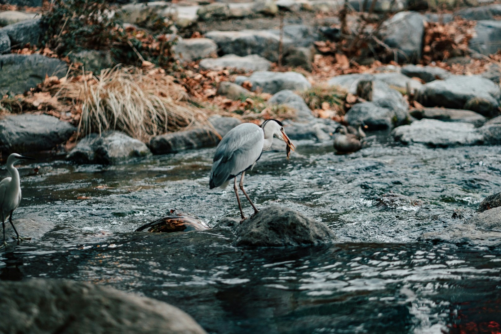  Photo Credit: Photo by Daniel Bernard on Unsplash