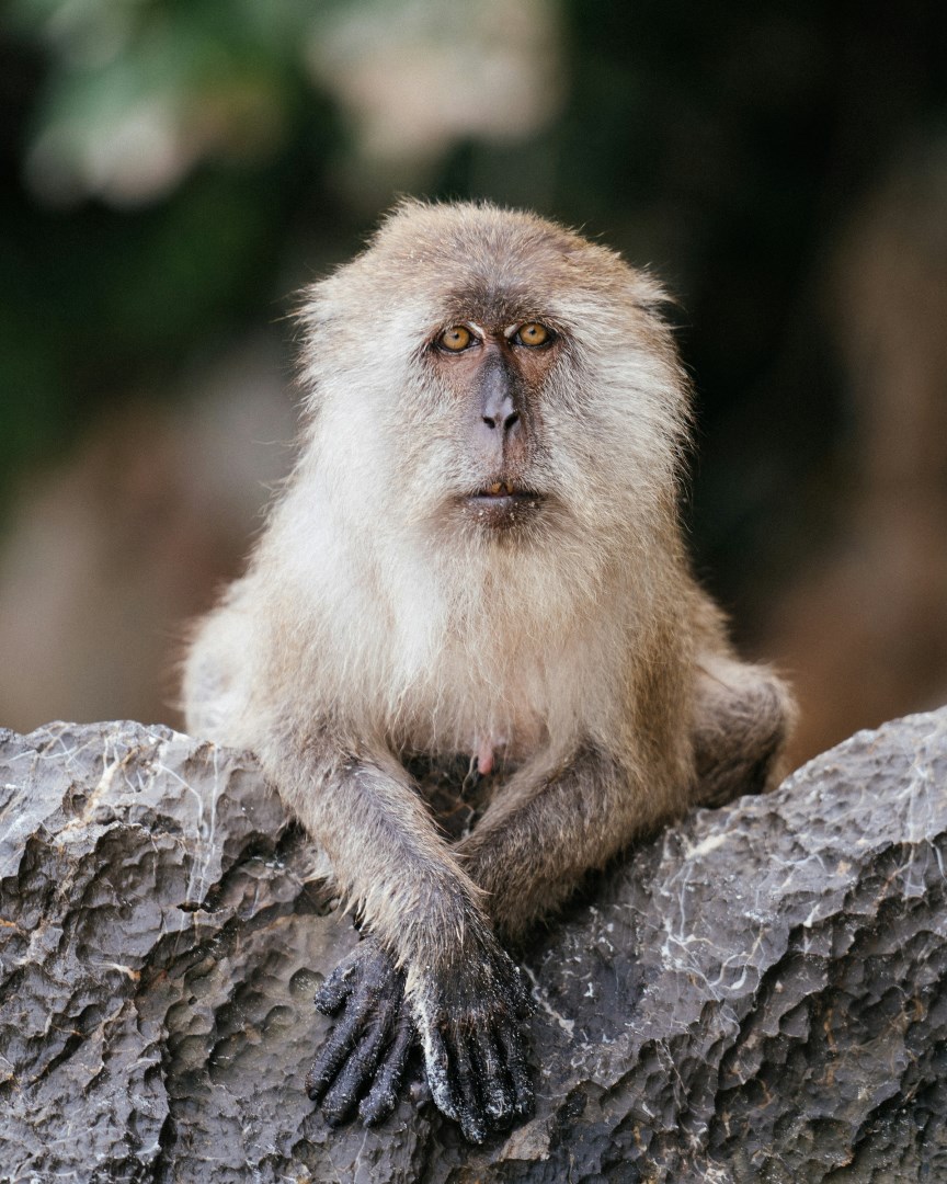  Photo Credit: Photo by Ryan Porter on Unsplash