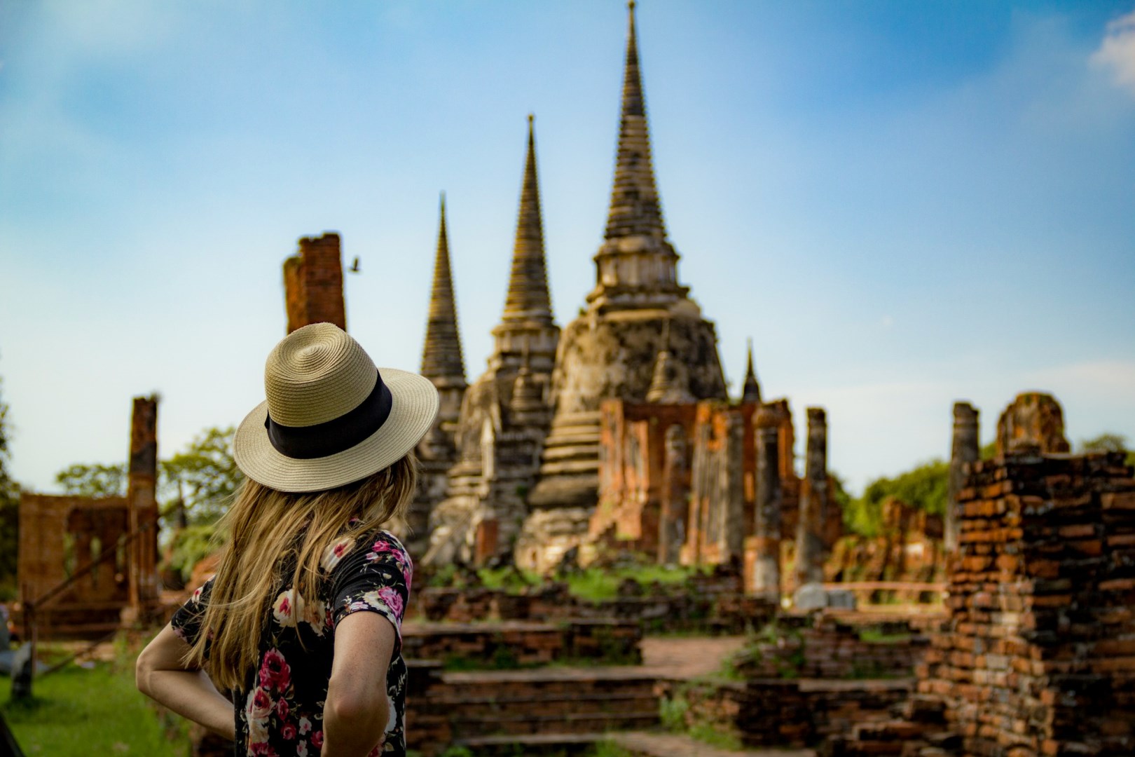  Photo Credit: Photo by Brenton Williamson on Unsplash