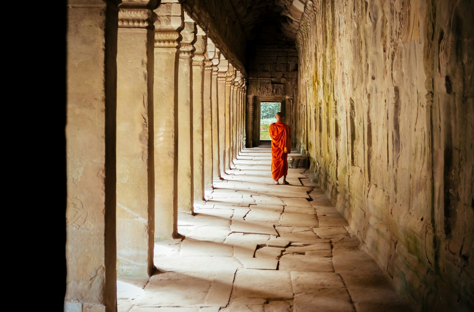  Photo Credit: Photo by Alexander on Unsplash