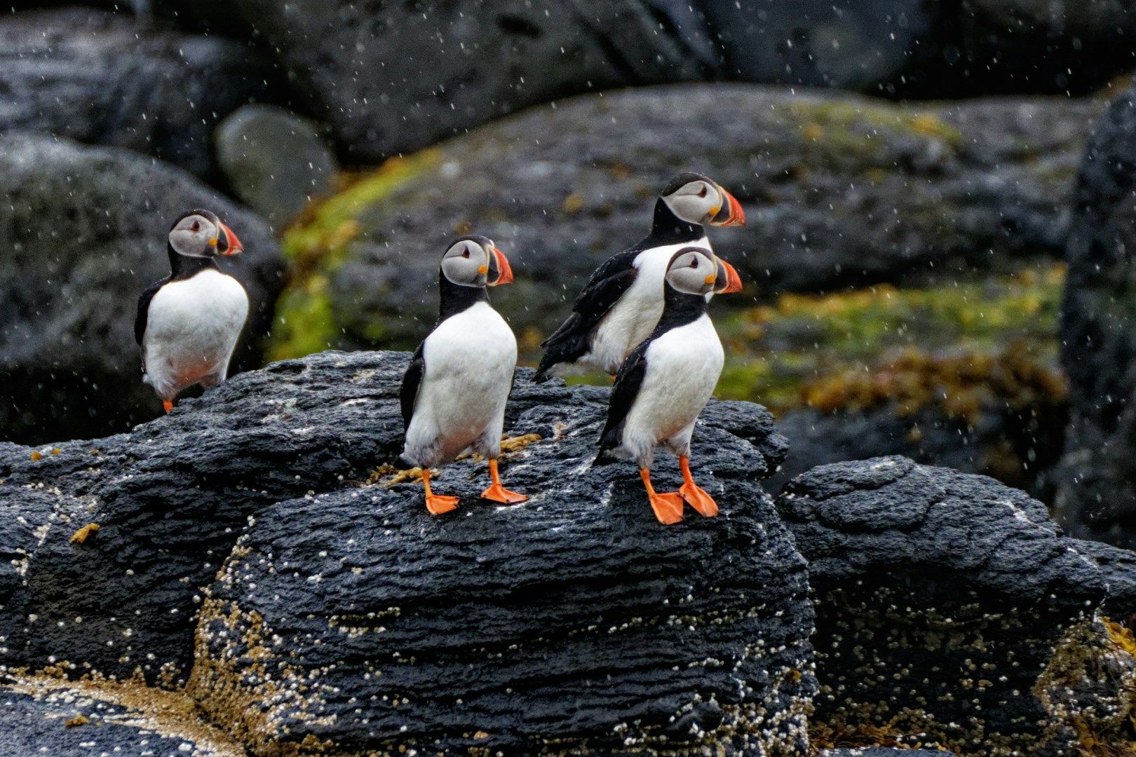  Photo Credit: Photo by Yves Alarie on Unsplash