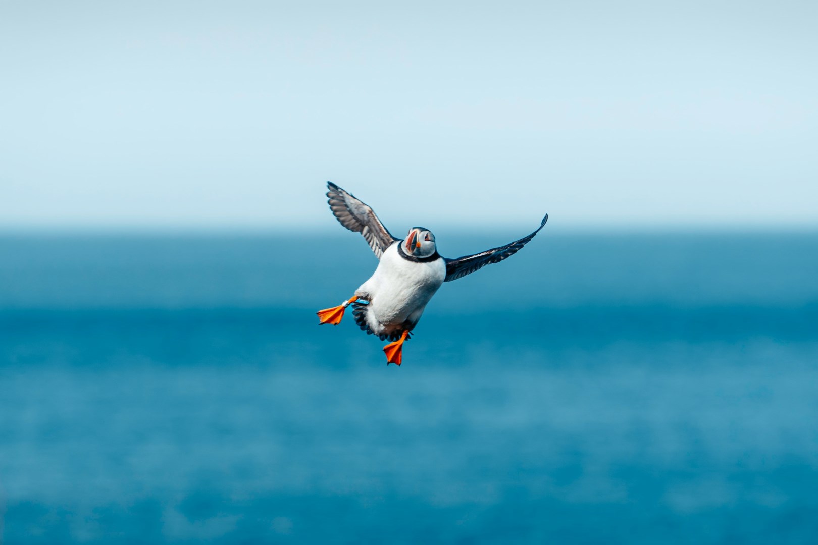  Photo Credit: Photo by Raul Ling on Unsplash