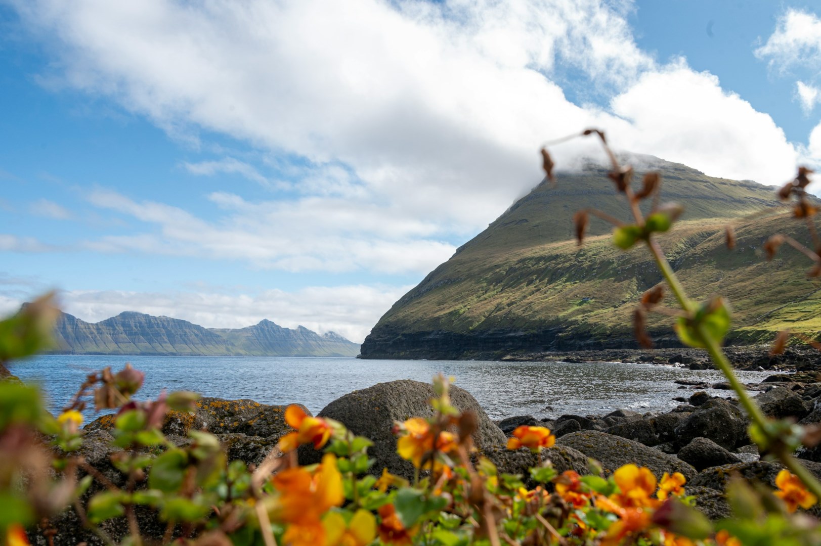  Photo Credit: Photo by Marianne Lariviere on Unsplash