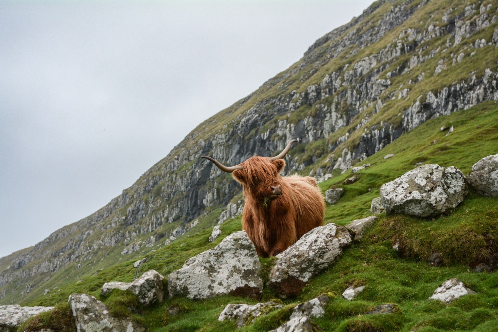  Photo Credit: Photo by Eric Welch on Unsplash