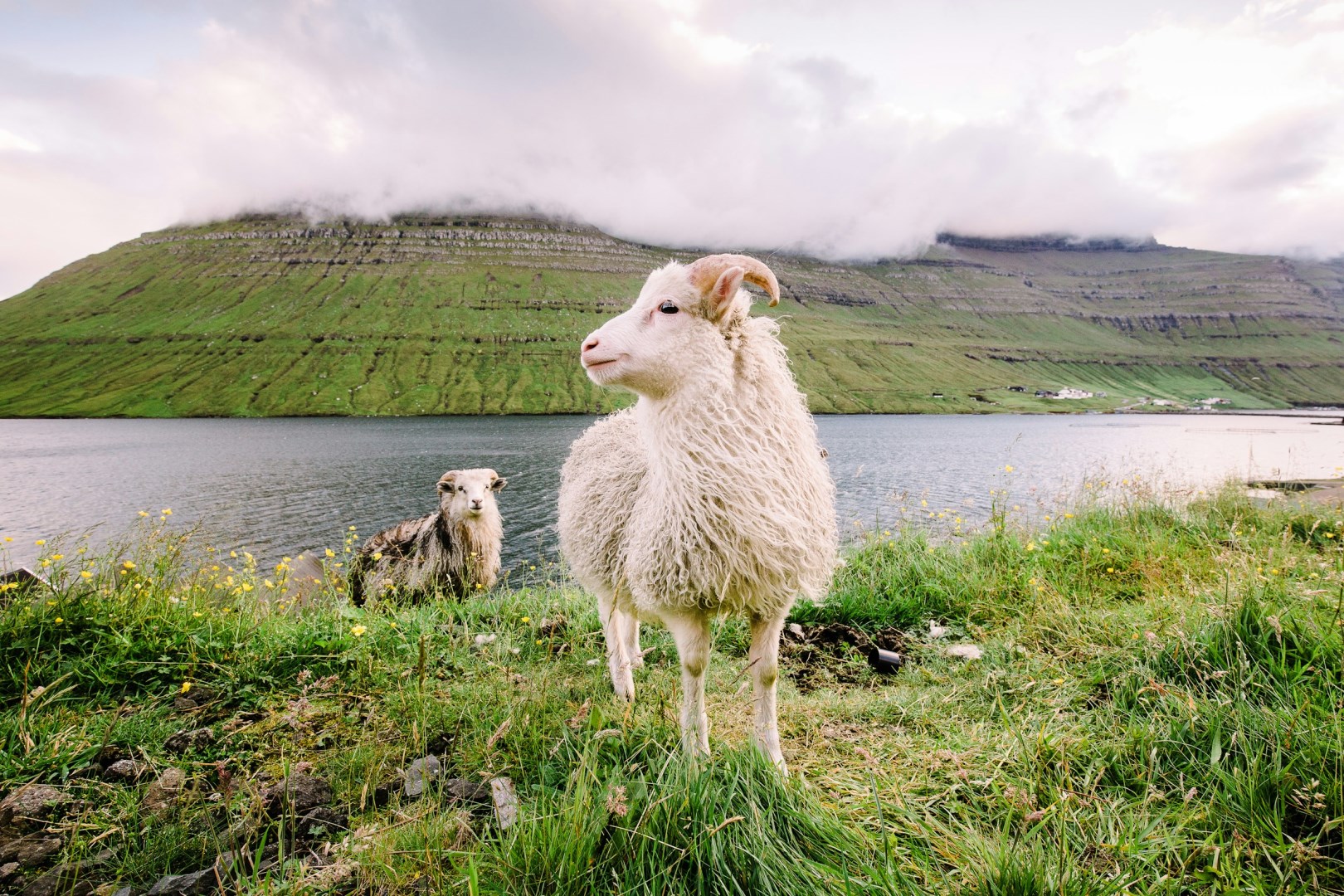  Photo Credit: Photo by Kasper Lau on Unsplash