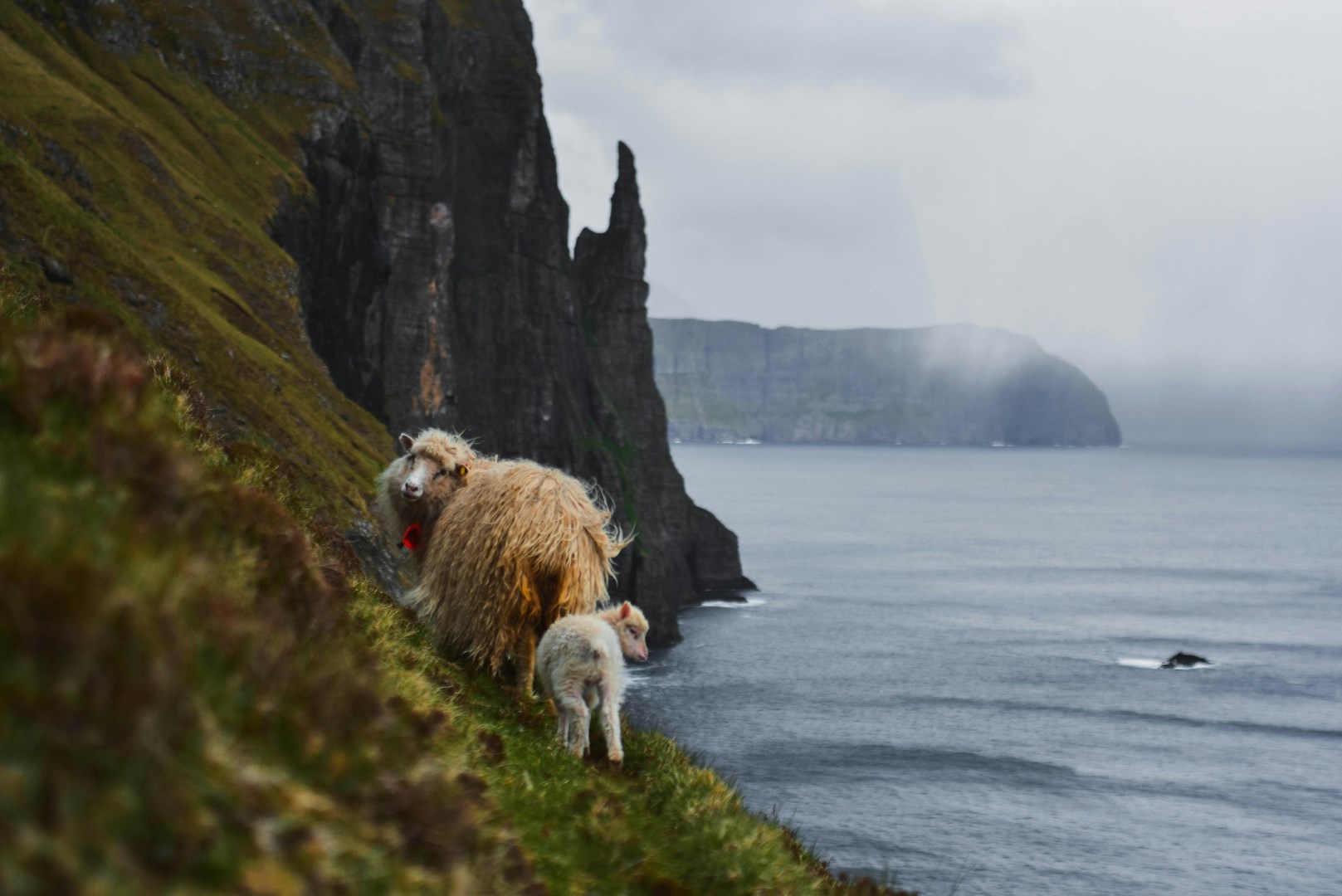  Photo Credit: Photo by Robert Bahn on Unsplash