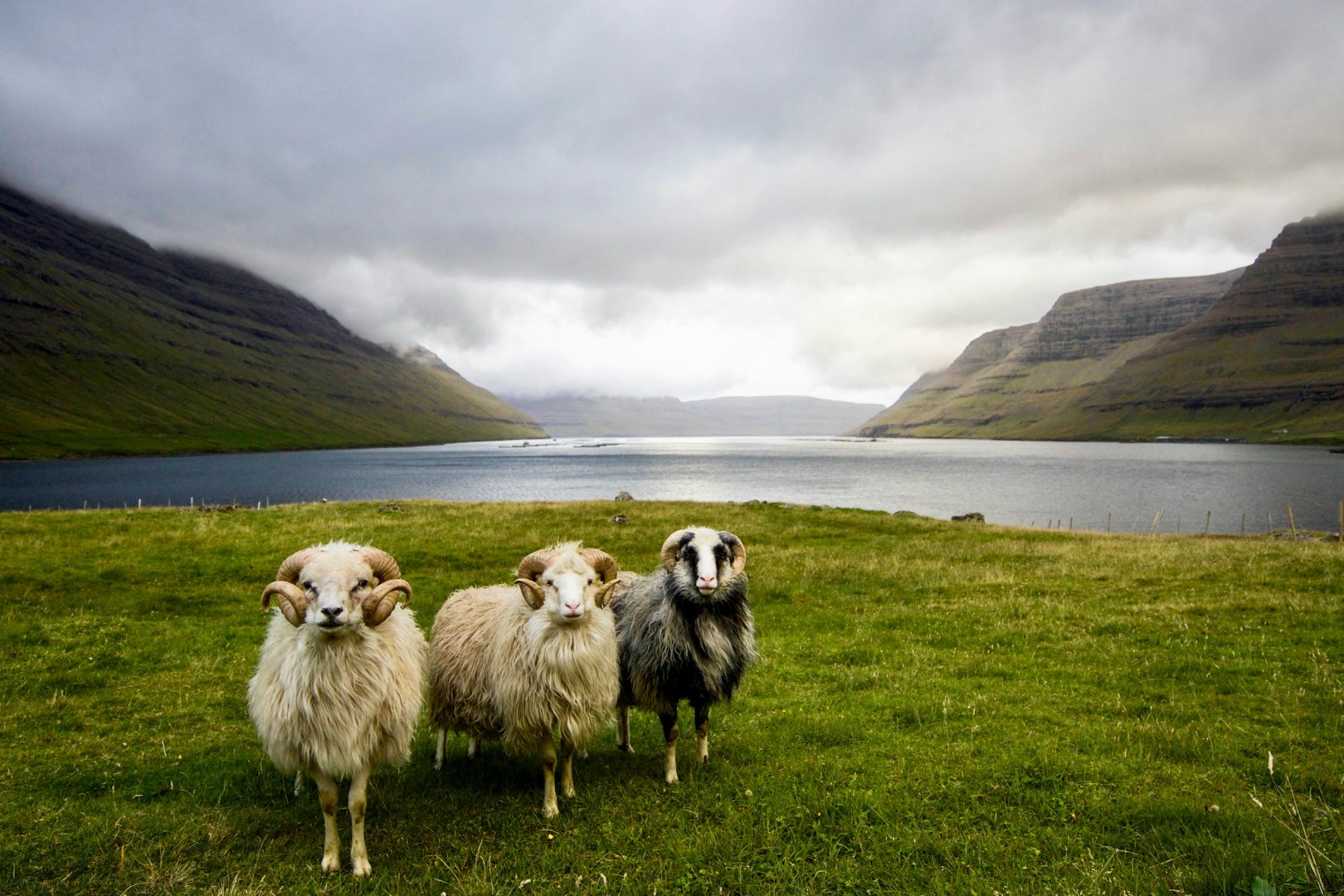  Photo Credit: Photo by Dylan Shaw on Unsplash