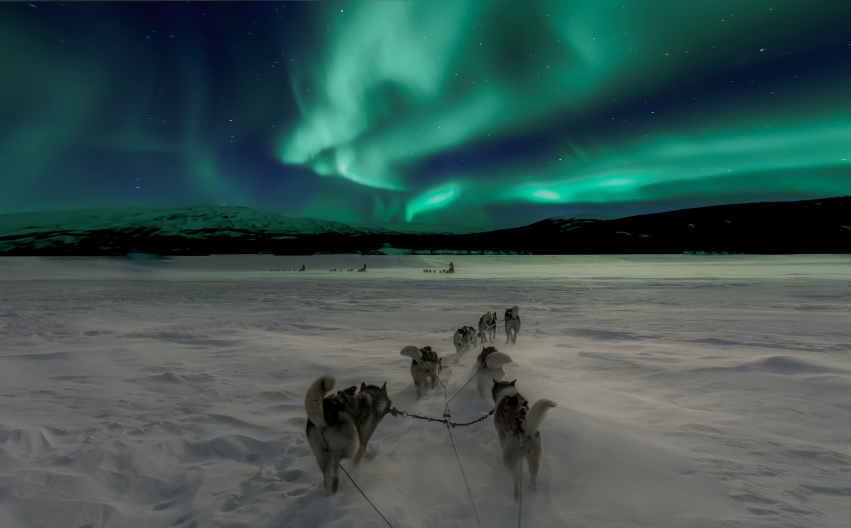  Photo Credit: Photo by Thomas Lipke on Unsplash
