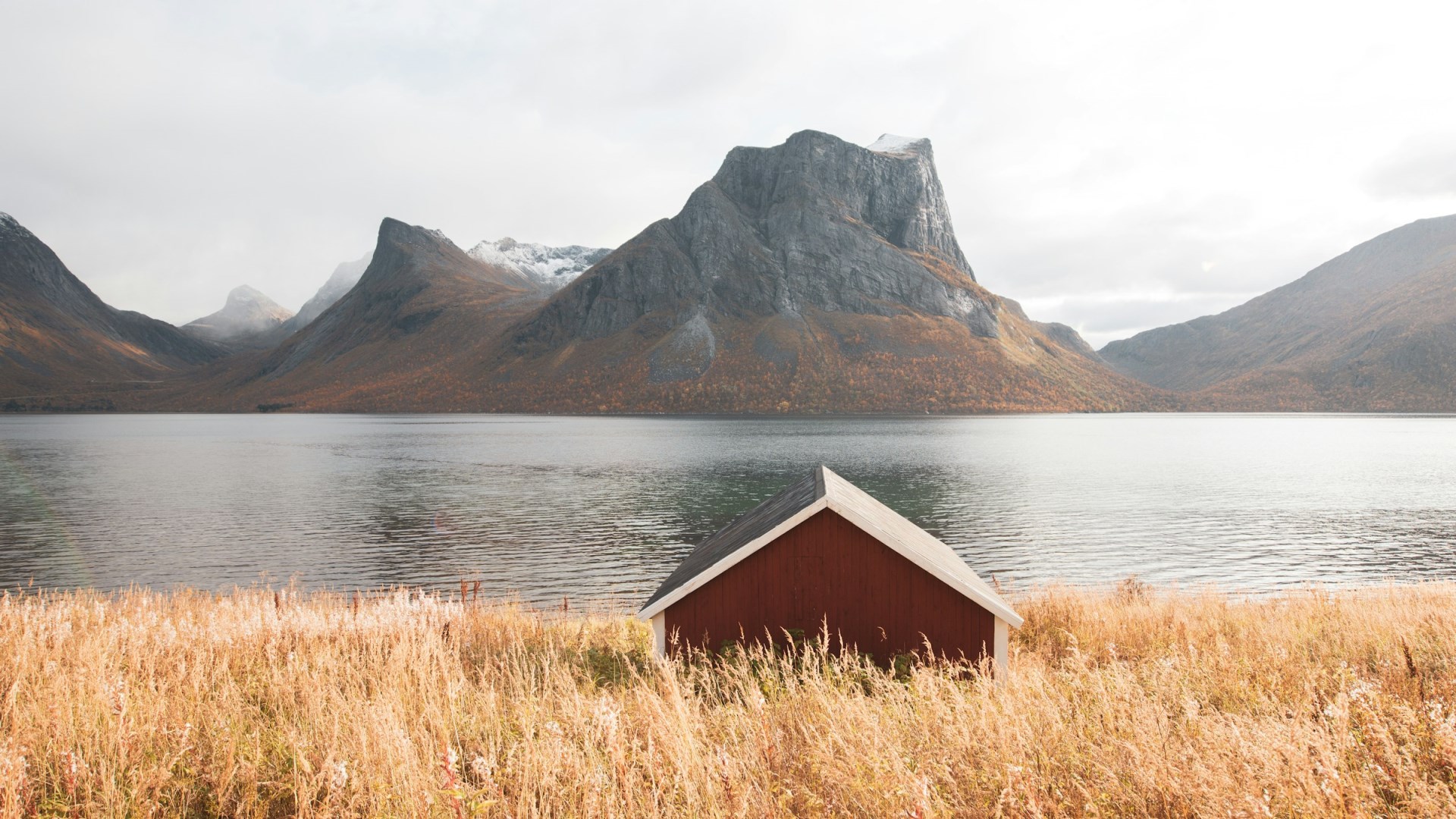  Photo Credit: Photo by Sami Matias Breilin on Unsplash