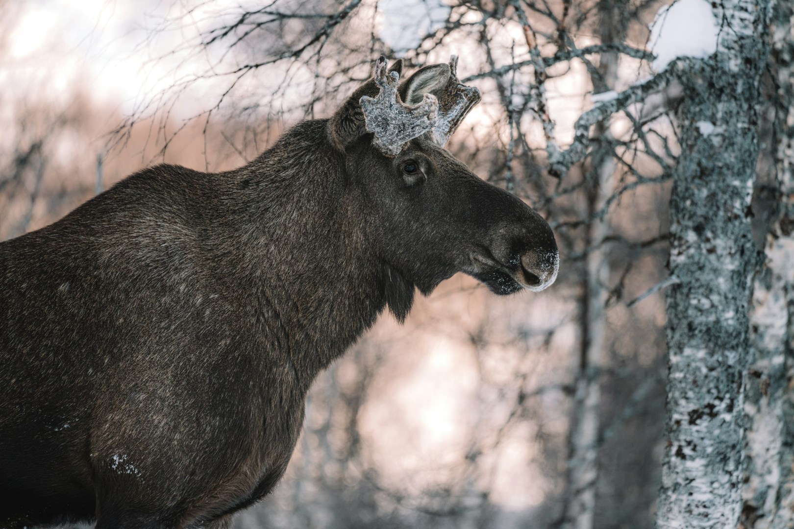  Photo Credit: Photo by Federico Di Dio photography on Unsplash