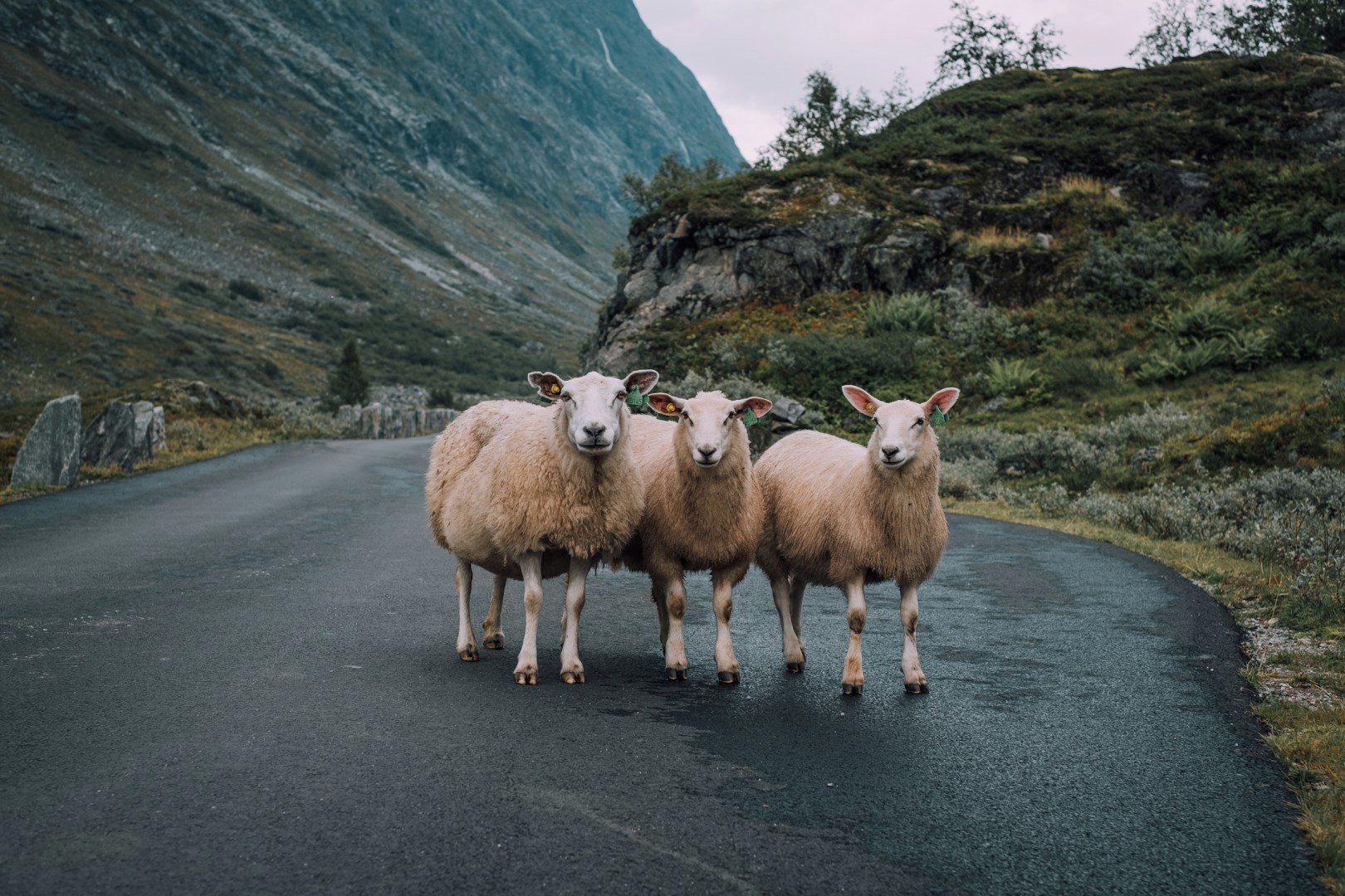  Photo Credit: Photo by Dessy Dimcheva on Unsplash