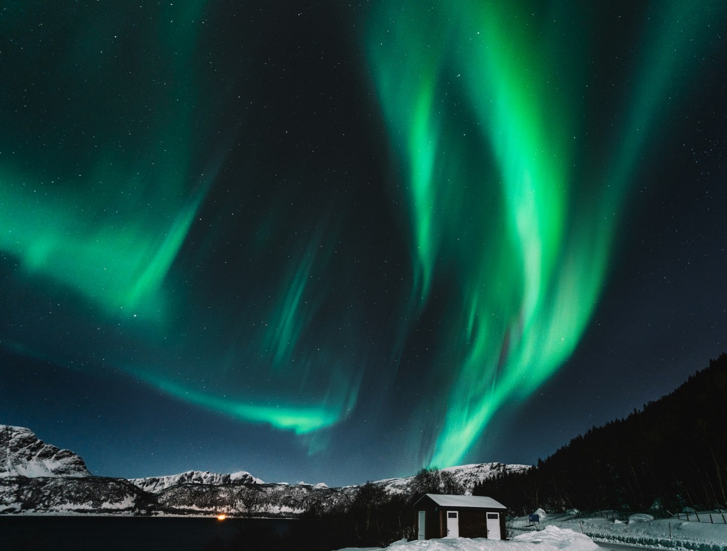  Photo Credit: Photo by Federico Di Dio photography on Unsplash