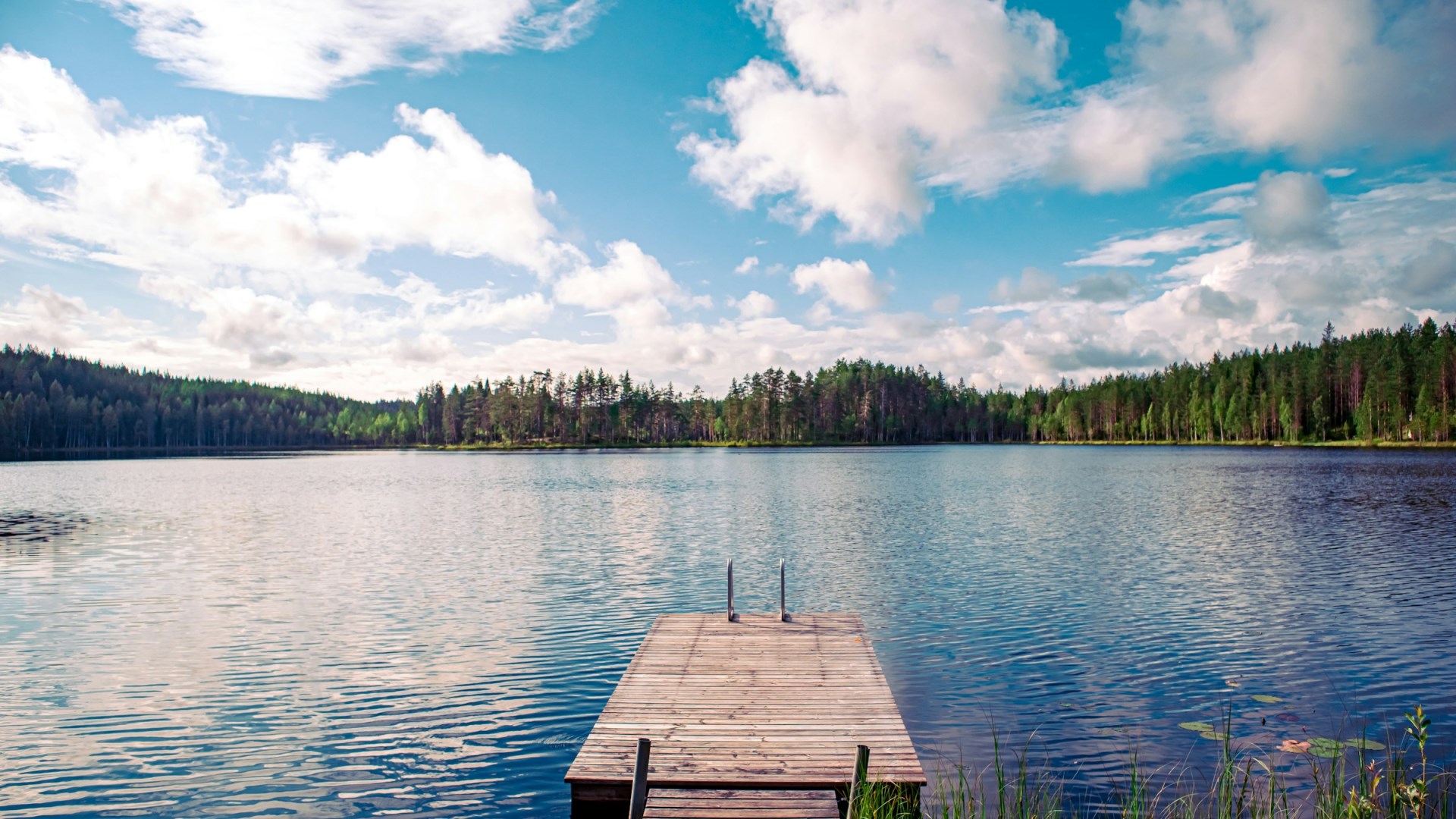  Photo Credit: Photo by Vivian K on Unsplash