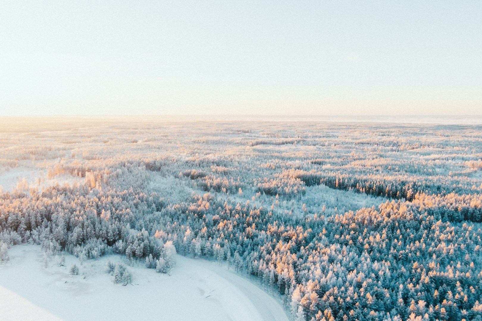  Photo Credit: Photo by Joni Kuusisto on Unsplash