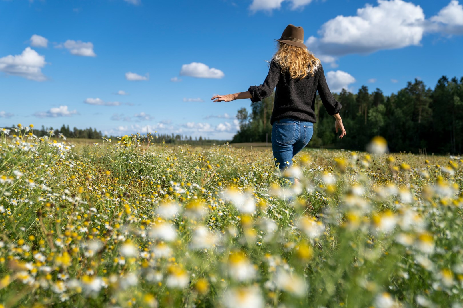 Photo Credit: Photo by Hendrik Morkel on Unsplash