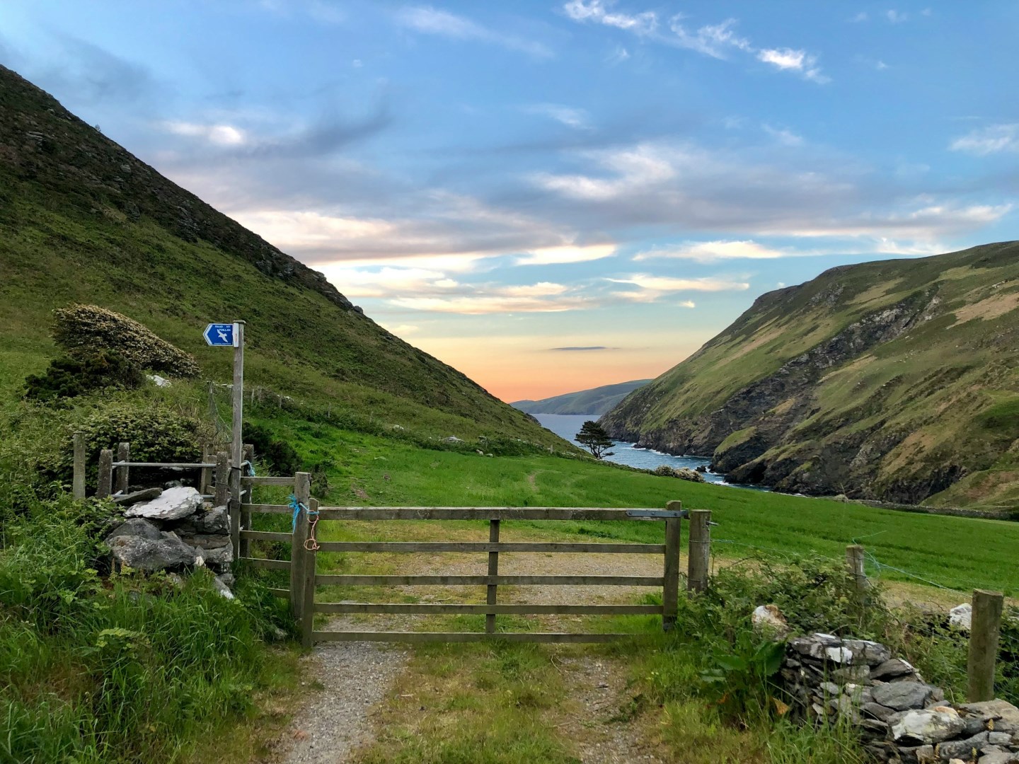  Photo Credit: Photo by James Qualtrough 🇮🇲 on Unsplash