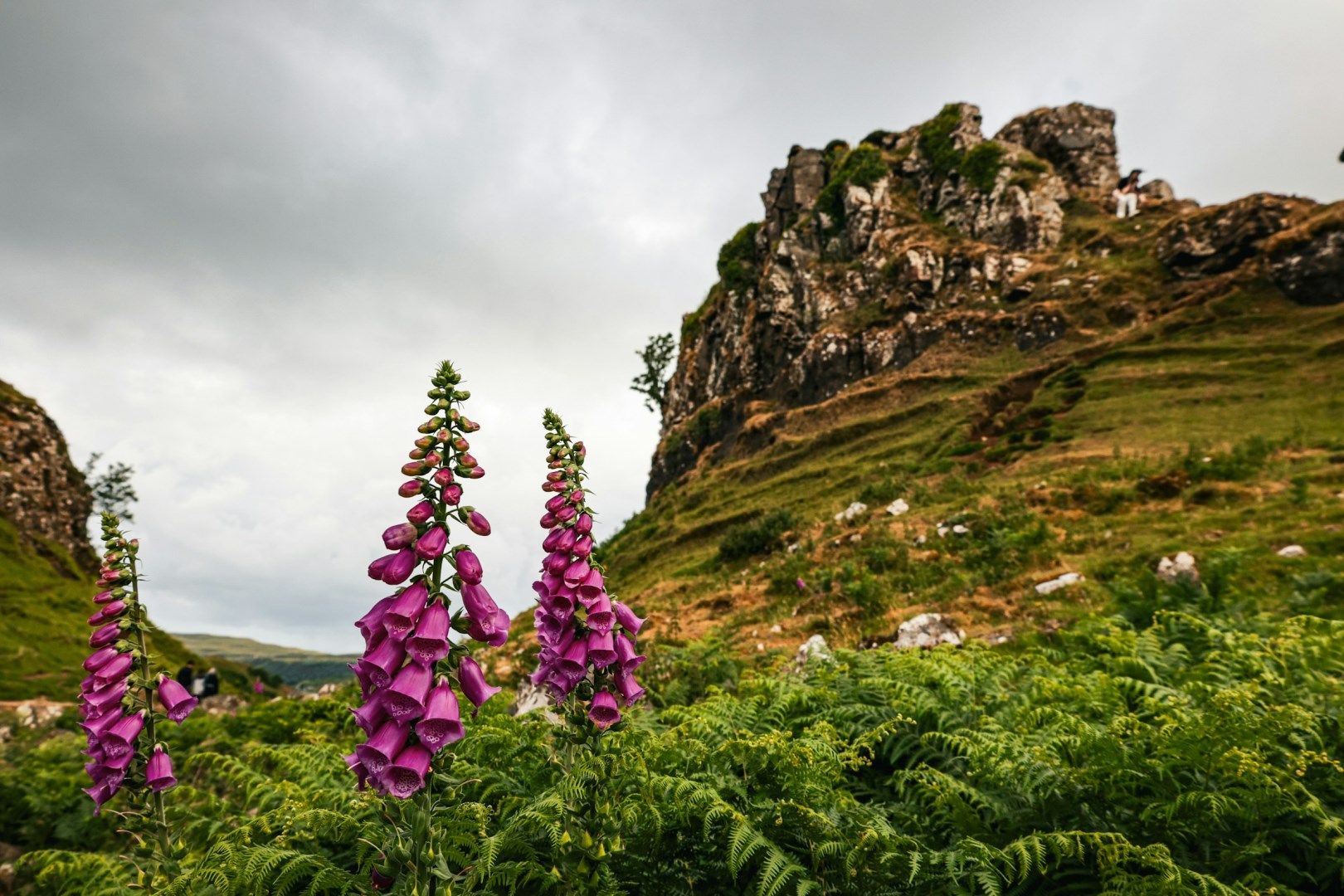  Photo Credit: Photo by Joss Broward on Unsplash