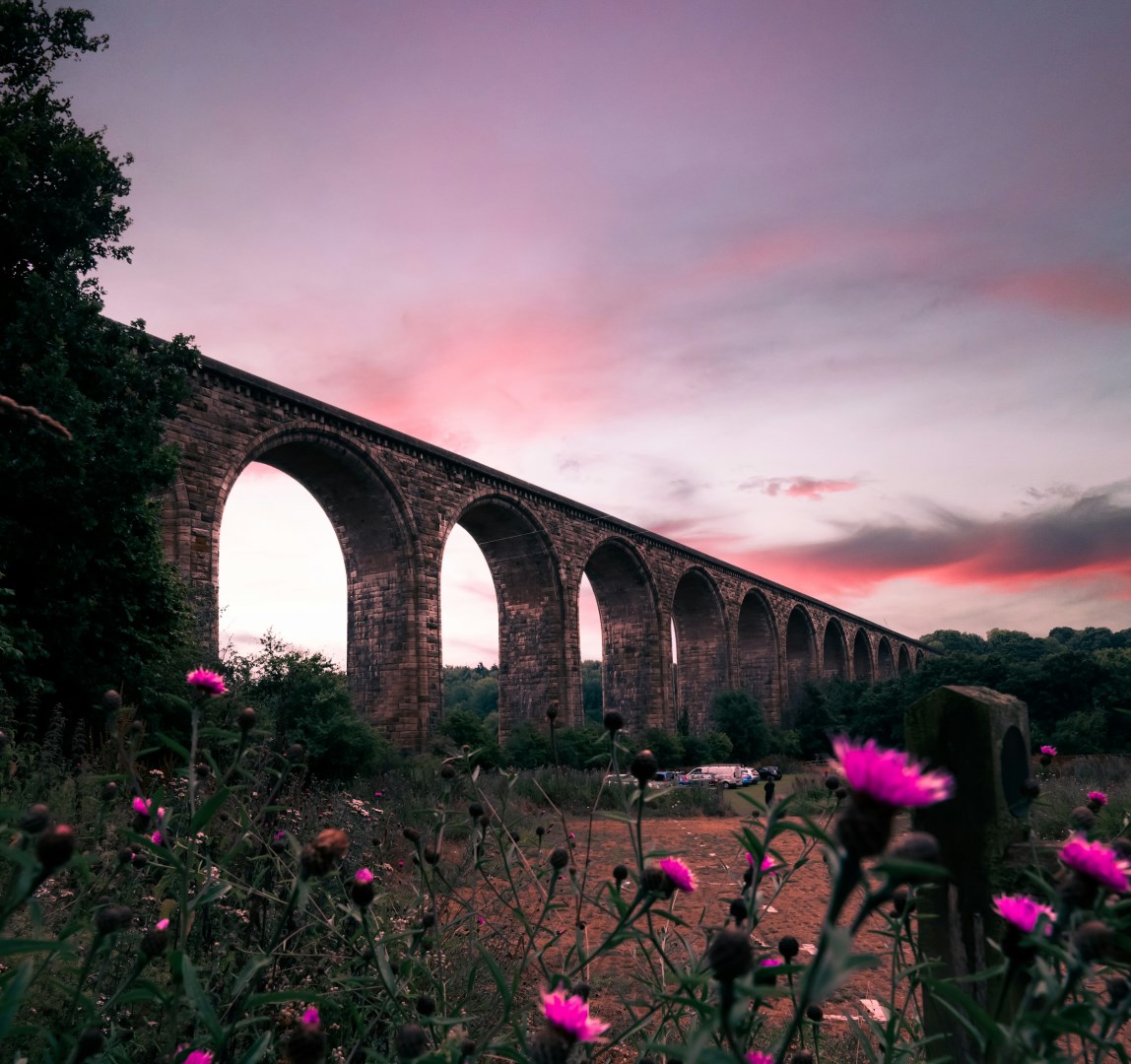  Photo Credit: Photo by Neeraj Pramanik on Unsplash