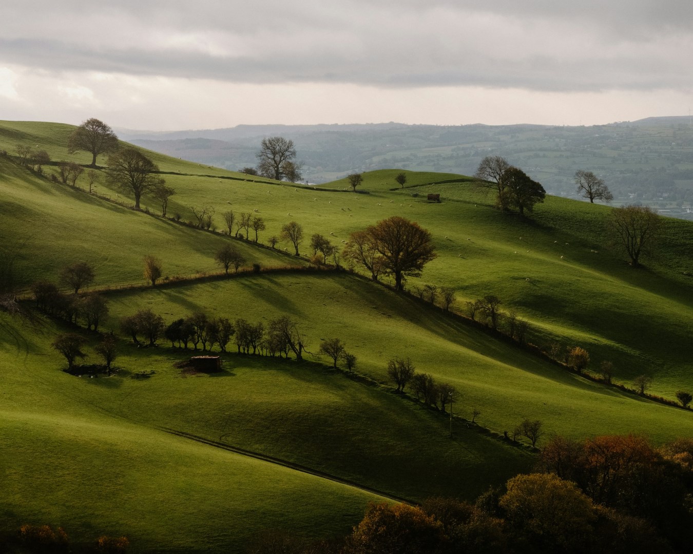  Photo Credit: Photo by Mitchell Orr on Unsplash